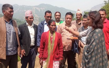 बैतडीको सुर्नया ३ मा एमालेबाट वडा सदस्यकी उम्मेदवार बाम गठबन्धनमा प्रवेश